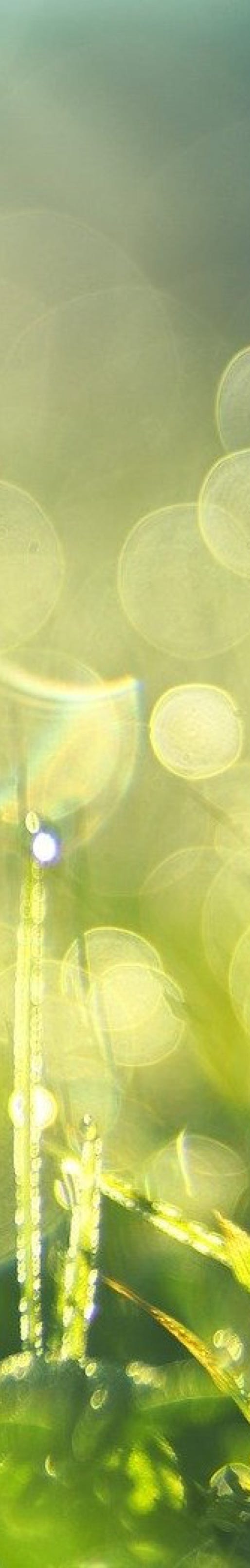 Maren Becker l Psychologische Beratung mit zügigen und nachhaltigen Ergebnissen